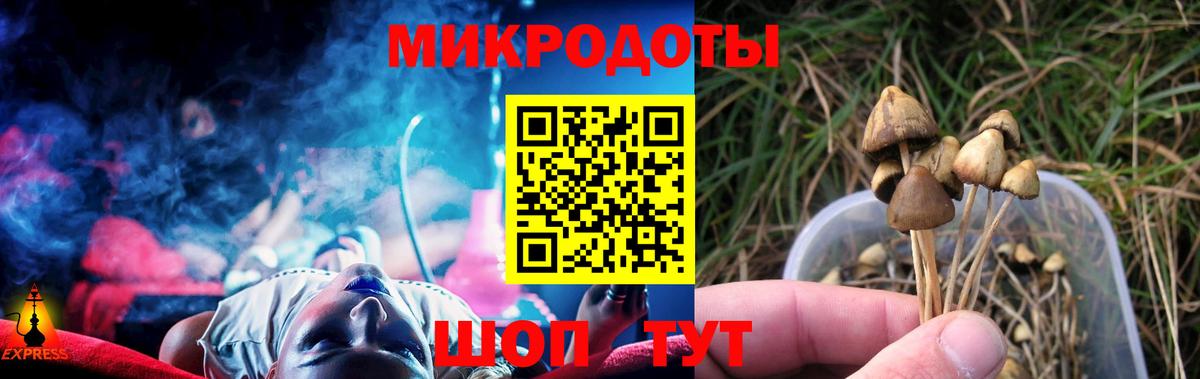 Псилоцибиновые грибы MAGIC MUSHROOMS  Вход с VPN  Конаково 
